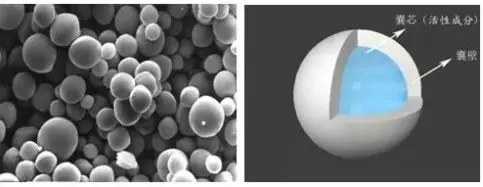 微膠囊技術(shù)在車用聚氨酯膠粘劑中的應(yīng)用設(shè)想