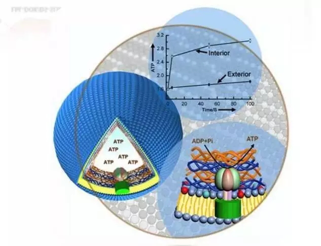 微膠囊技術(shù)在車用聚氨酯膠粘劑中的應(yīng)用設(shè)想